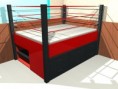 Wrestling/Boxing Ring